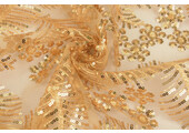 Mesh Embroidered Sequins Lizanne Gold