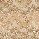 Mesh Geborduurd Pailletten Lizanne Champagne Beige
