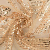 Mesh Embroidered Sequins Lizanne Champagne Beige