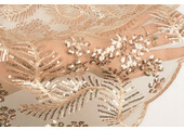 Mesh Embroidered Sequins Lizanne Champagne Beige