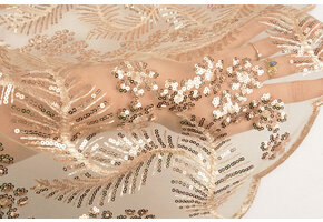 Netz Bestickt Pailletten Lizanne Champagne Beige