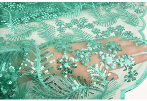 Mesh Embroidered Sequins Lizanne Light Sea Green