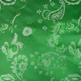 Brocade Paisley Devika Grass Green