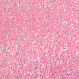 Pailletten op Velours Licht Roze