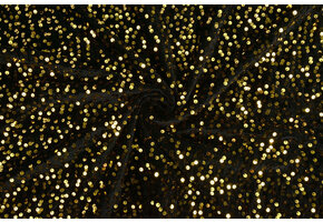 Pailletten auf Samt Schwarz - Gold