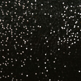 Sequins on Velvet Black - Black