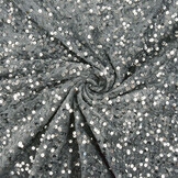 Sequins on Velvet Silver