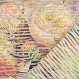 Fancy Netz Digital Liselle Multi-2