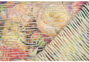 Fancy Netz Digital Liselle Multi-2