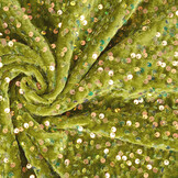 Sequins on Velvet Moss Green (Holographic Sequins)