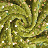 Sequins on Velvet Moss Green (Holographic Sequins)