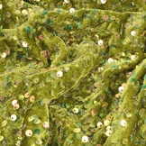 Sequins on Velvet Moss Green (Holographic Sequins)