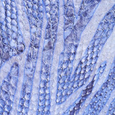 Digital Stretch Cotton Glossy Snakeskin Blue