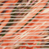 Fancy Mesh Digital Kinari