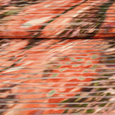 Fancy Netz Digital Kinari