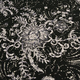 Geborduurd Kant met Fijne Glitter