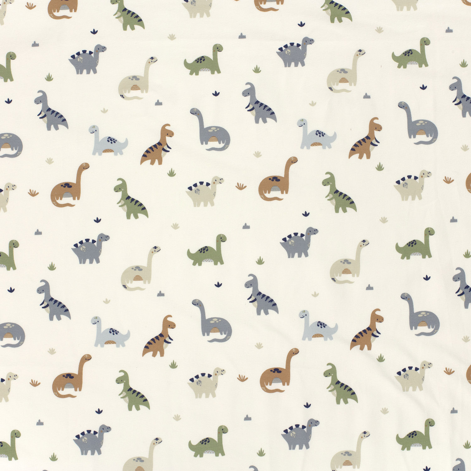 Cotton Jersey Dino Finn