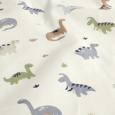 Cotton Jersey Dino Finn