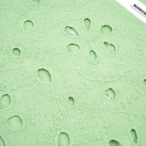 Broderie Katoen Matunda Groen