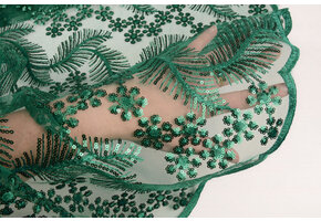Mesh Embroidered Sequins Lizanne Sea Green