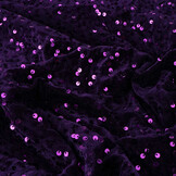 Sequins on Velvet Dark Purple