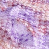 Brocade Circle Multi