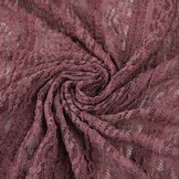 Lace Belly Mauve