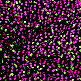 Sequins on Velvet Black - Fluor