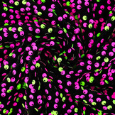 Pailletten op Velours Zwart - Fluor