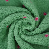 Curly Teddy Embroidered Camilla Green