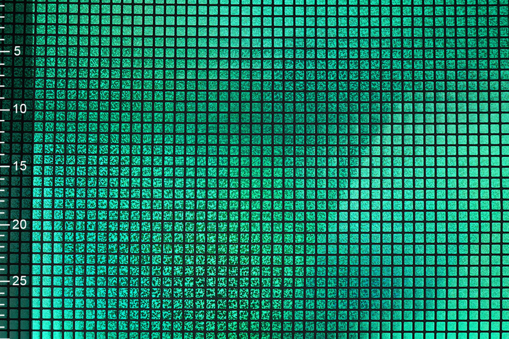 Lamé Check Grass Green