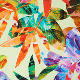 Cotton Jersey Leaves Cato Green