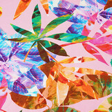 Cotton Jersey Leaves Cato Pink