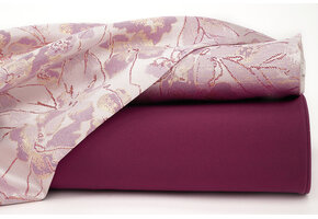 Brocade Kimari Cyclamen