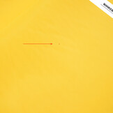 Linings Citron Yellow