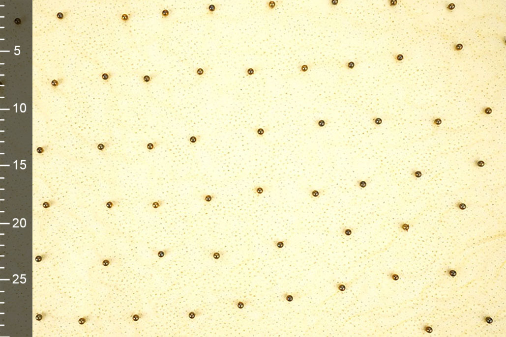 Fijne Glitter Tule met Parels Geel