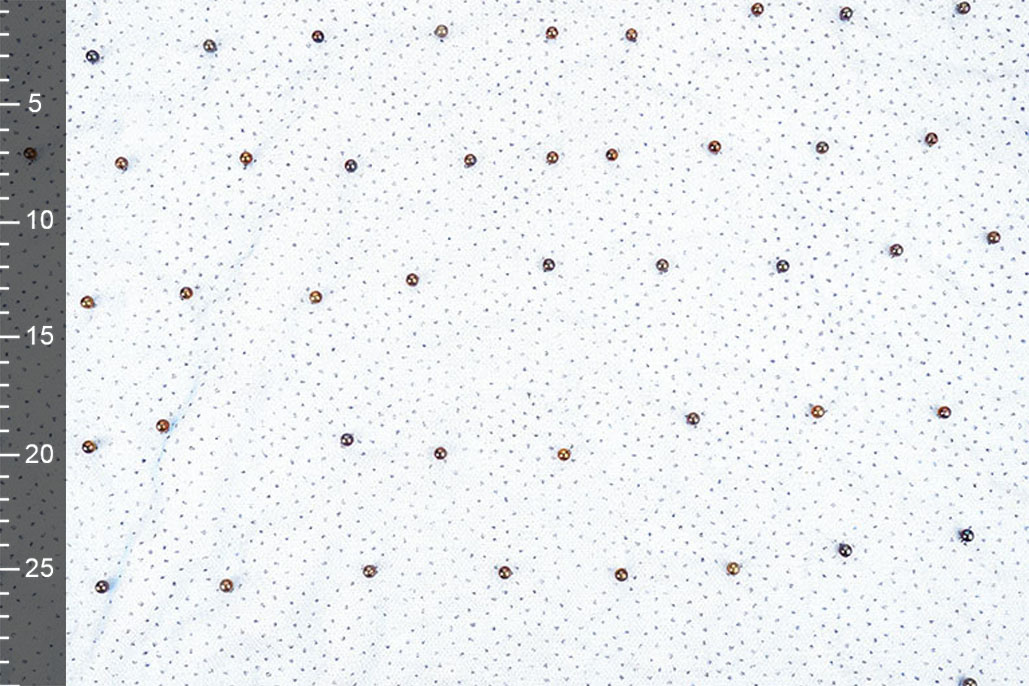 Fijne Glitter Tule met Parels Koningsblauw