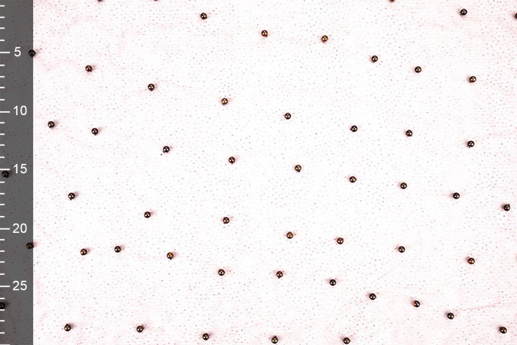 Fijne Glitter Tule met Parels Mauve