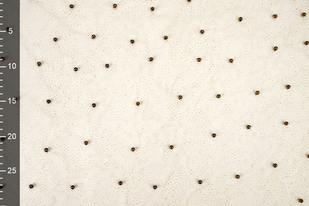 Feiner Glitzer Tüll mit Perlen Beige