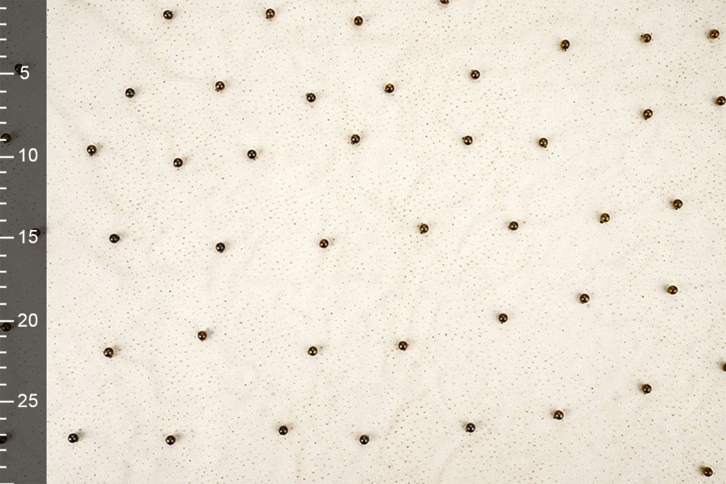 Fijne Glitter Tule met  Parels Beige