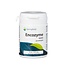 Springfield Encozyme NADH 10 mg