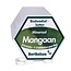 Berthelsen Mangaan 250 tabletten