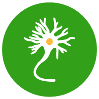 Neurotransmitters hack