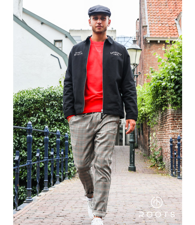 Mitchel Dijkstra #iedereenismodel