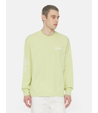 Dickies Dickies Timberville Tee LS Pale Green