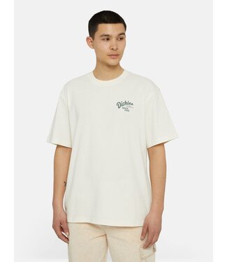 Dickies Dickies Raven Tee SS Cloud