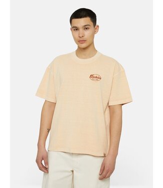 Dickies Dickies Rustburg Tee SS gd Apricot