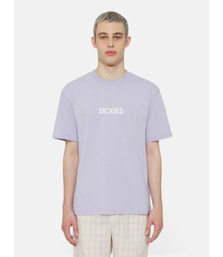 Dickies Dickies Patrick Springs Tee SS Cosmic Sky