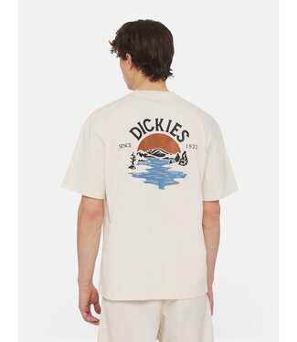 Dickies Dickies Beach Tee SS Whitecap Gray