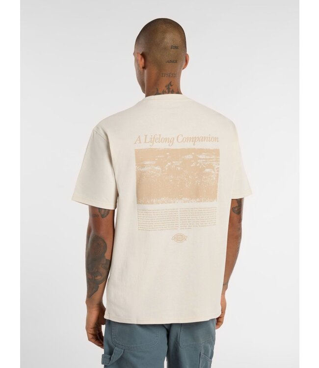 Dickies Dickies Companion Script SS Tee Whitecap 300125